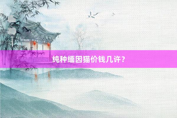 纯种缅因猫价钱几许？