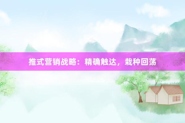 推式营销战略:精确触达,栽种回荡
