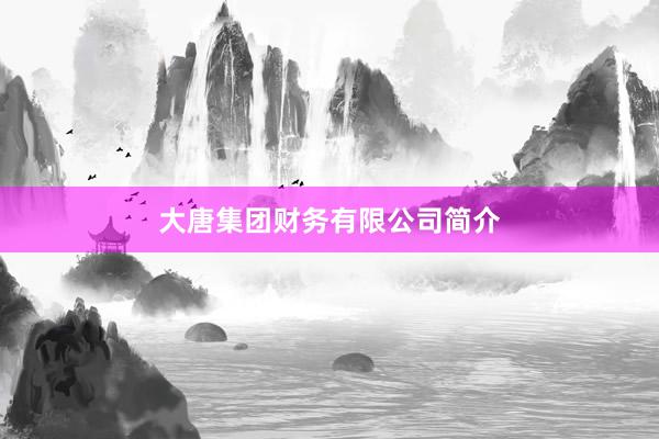 大唐集团财务有限公司简介